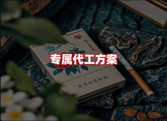 专业团队